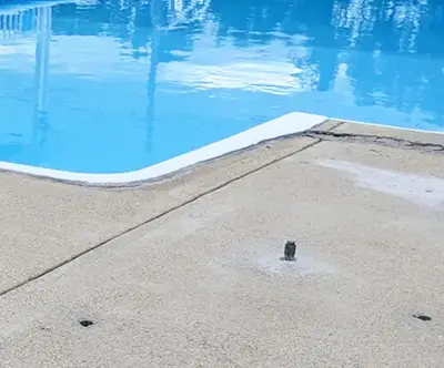 Pool Deck Leveling Near Me